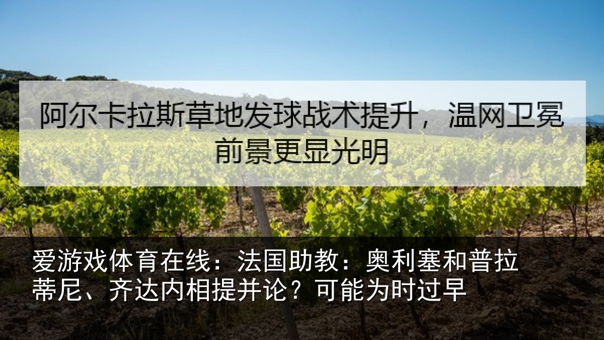 爱游戏体育在线:法国相关情况蒂尼相关情况能为时过早