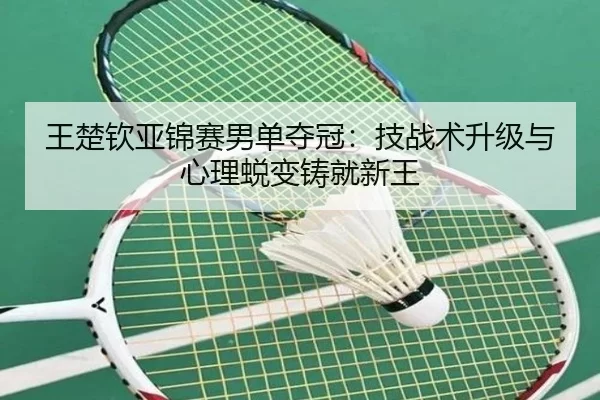王楚钦亚锦赛男单夺冠：技战术升级与心理蜕变铸就新王