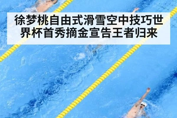 徐梦桃自由式滑雪空中技巧世界杯首秀摘金宣告王者归来