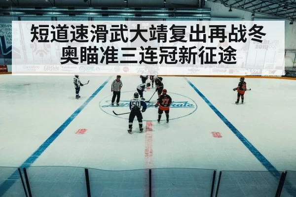 winter olympics ice rink